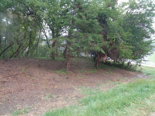 107 Glen Hollow, GALENA, Iowa 61036, ,Land,For Sale,Glen Hollow,202405028