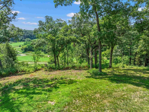 19 Cedar Rim, GALENA, Illinois 61036, 5 Bedrooms Bedrooms, ,4 BathroomsBathrooms,House,For Sale,Cedar Rim,202505628