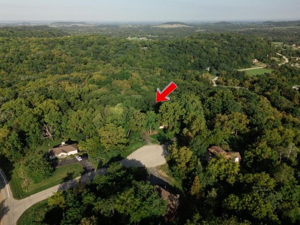 6 Ironwood, GALENA, Illinois 61036, 3 Bedrooms Bedrooms, ,2 BathroomsBathrooms,House,For Sale,Ironwood,202505648