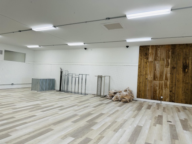 146 Main, LENA, Illinois 61048, ,Commercial,For Sale,Main,202505441