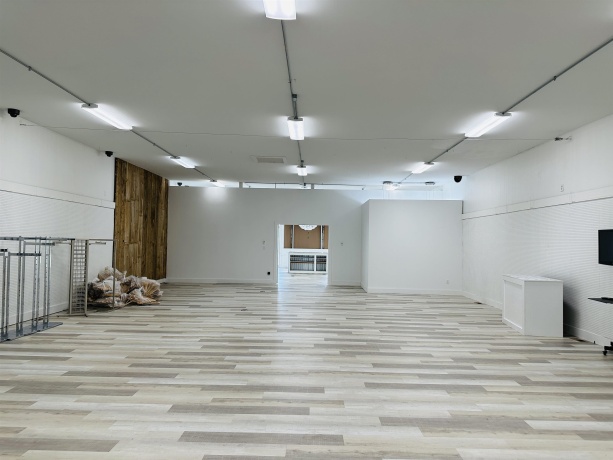 146 Main, LENA, Illinois 61048, ,Commercial,For Sale,Main,202505441