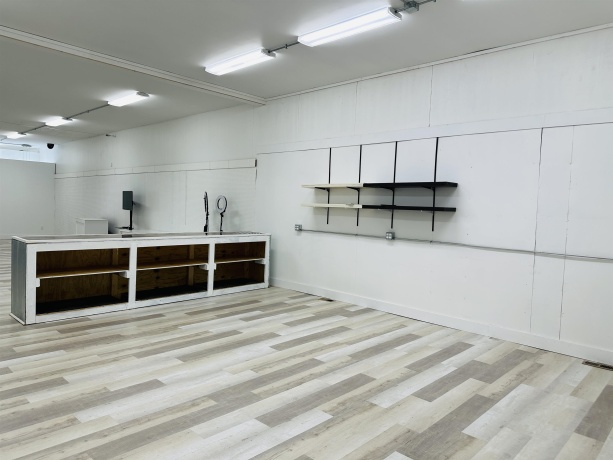 146 Main, LENA, Illinois 61048, ,Commercial,For Sale,Main,202505441