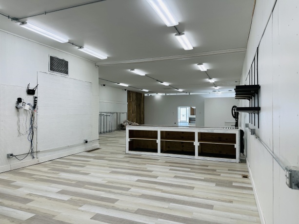 146 Main, LENA, Illinois 61048, ,Commercial,For Sale,Main,202505441