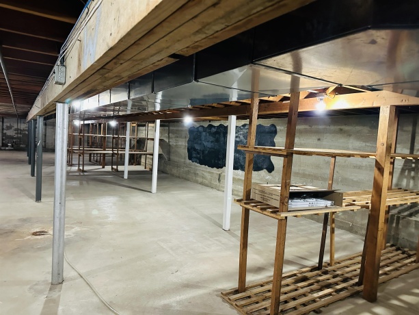 146 Main, LENA, Illinois 61048, ,Commercial,For Sale,Main,202505441