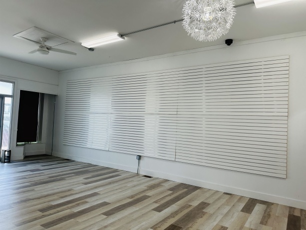 146 Main, LENA, Illinois 61048, ,Commercial,For Sale,Main,202505441