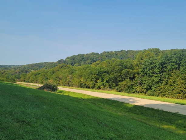 80 Shenandoah, GALENA, Illinois 61036, ,Land,For Sale,Shenandoah,202405363