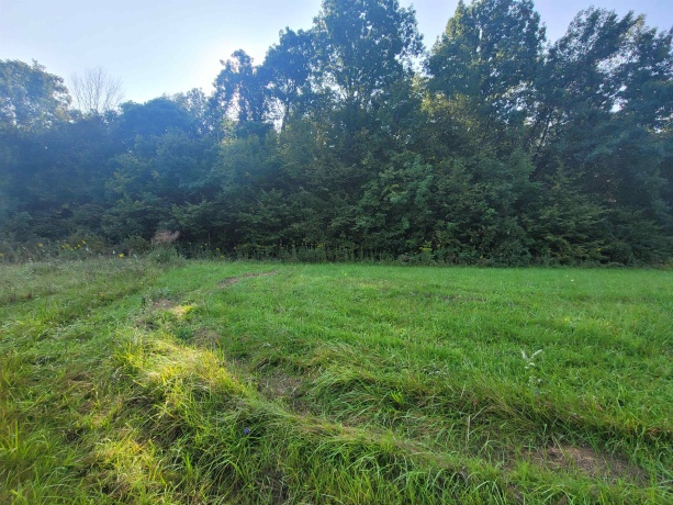 80 Shenandoah, GALENA, Illinois 61036, ,Land,For Sale,Shenandoah,202405363