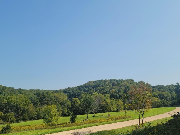 80 Shenandoah, GALENA, Illinois 61036, ,Land,For Sale,Shenandoah,202405363