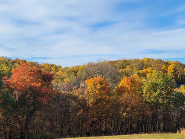 80 Shenandoah, GALENA, Illinois 61036, ,Land,For Sale,Shenandoah,202405363