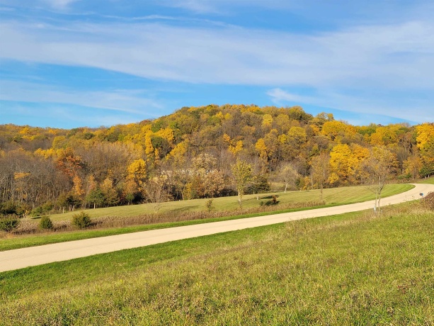 80 Shenandoah, GALENA, Illinois 61036, ,Land,For Sale,Shenandoah,202405363