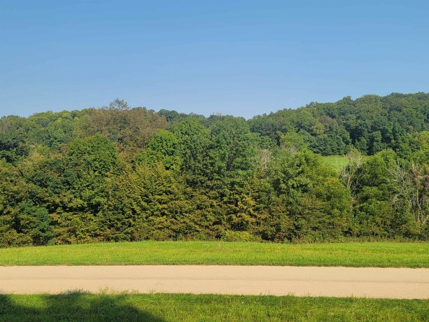 80 Shenandoah, GALENA, Illinois 61036, ,Land,For Sale,Shenandoah,202405363