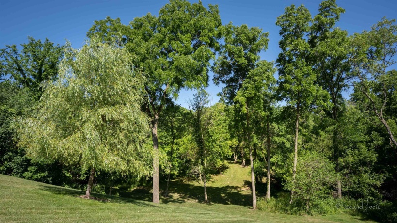 200 Sioux, GALENA, Illinois 61036, 4 Bedrooms Bedrooms, ,3 BathroomsBathrooms,House,For Sale,Sioux,202505738