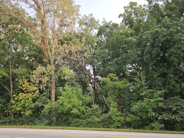 241 Blackhawk, GALENA, Illinois 61036, ,Land,For Sale,Blackhawk,202505749