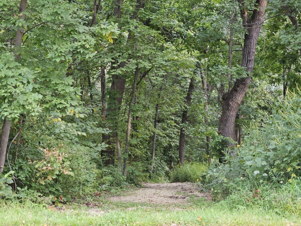 241 Blackhawk, GALENA, Illinois 61036, ,Land,For Sale,Blackhawk,202505749