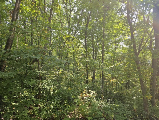 241 Blackhawk, GALENA, Illinois 61036, ,Land,For Sale,Blackhawk,202505749