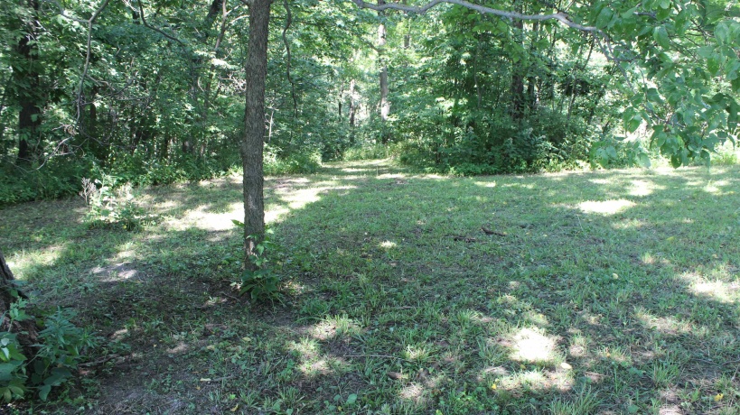 18 Goldenrod, GALENA, Illinois 61036, ,Land,For Sale,Goldenrod,202505759