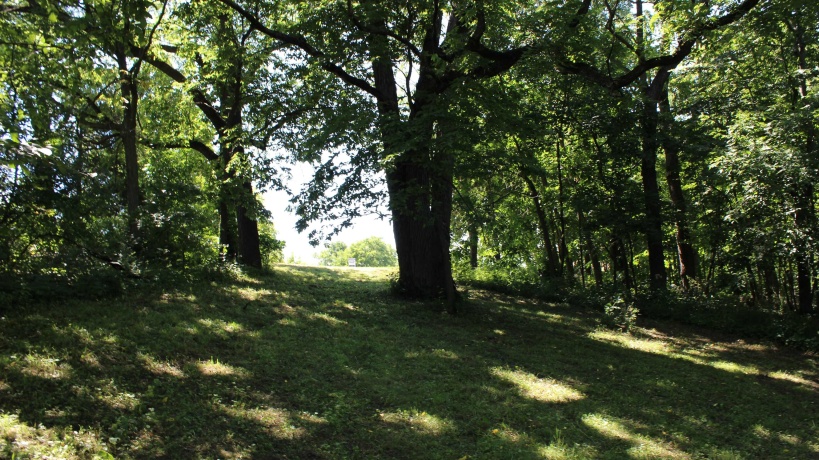 18 Goldenrod, GALENA, Illinois 61036, ,Land,For Sale,Goldenrod,202505759