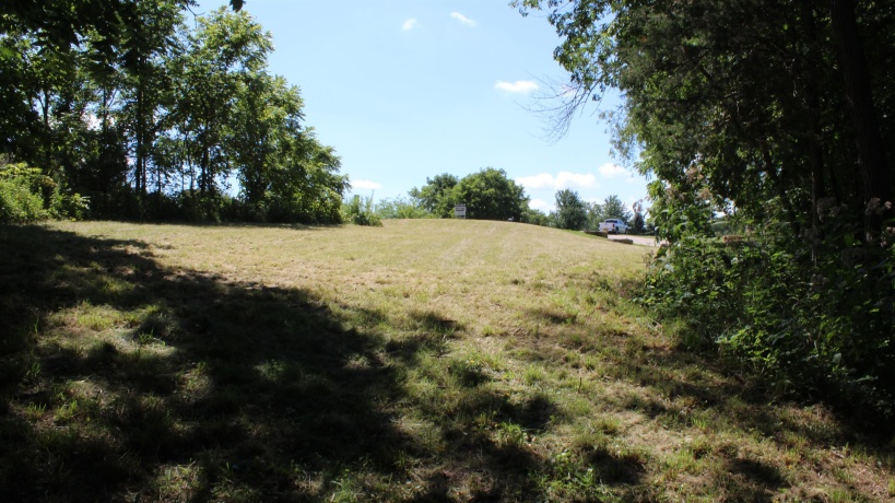 18 Goldenrod, GALENA, Illinois 61036, ,Land,For Sale,Goldenrod,202505759