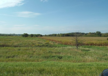 TBD IL RTE 26 N, ORANGEVILLE, Illinois 61060, ,Land,For Sale,IL RTE 26 N,202505791