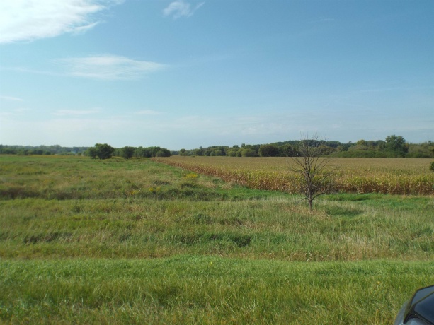 TBD IL RTE 26 N, ORANGEVILLE, Illinois 61060, ,Land,For Sale,IL RTE 26 N,202505791
