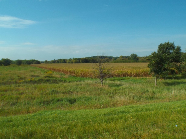 TBD IL RTE 26 N, ORANGEVILLE, Illinois 61060, ,Land,For Sale,IL RTE 26 N,202505791