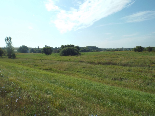 TBD IL RTE 26 N, ORANGEVILLE, Illinois 61060, ,Land,For Sale,IL RTE 26 N,202505791