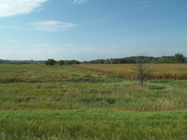 TBD IL RTE 26 N, ORANGEVILLE, Illinois 61060, ,Land,For Sale,IL RTE 26 N,202505791