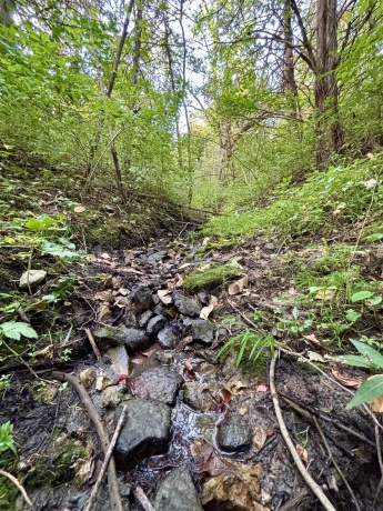 948 Rocky Hill, GALENA, Illinois 61036, ,Land,For Sale,Rocky Hill,202505828