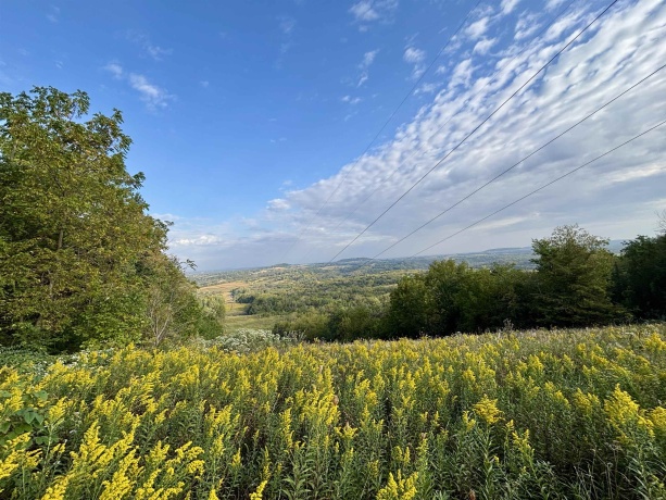 948 Rocky Hill, GALENA, Illinois 61036, ,Land,For Sale,Rocky Hill,202505828