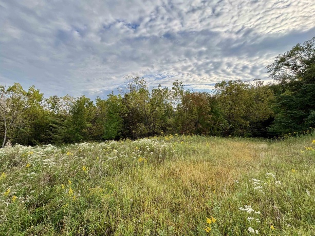 948 Rocky Hill, GALENA, Illinois 61036, ,Land,For Sale,Rocky Hill,202505828