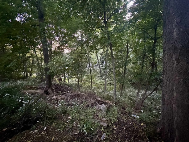 420 High, GALENA, Illinois 61036, 4 Bedrooms Bedrooms, ,1 BathroomBathrooms,House,For Sale,High,202505880