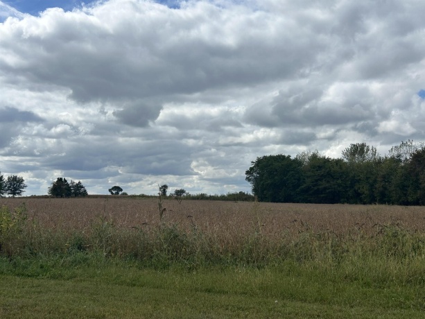 9800 IL Route 76, BELVIDERE, Illinois 61008, ,Land,For Sale,IL Route 76,202505893