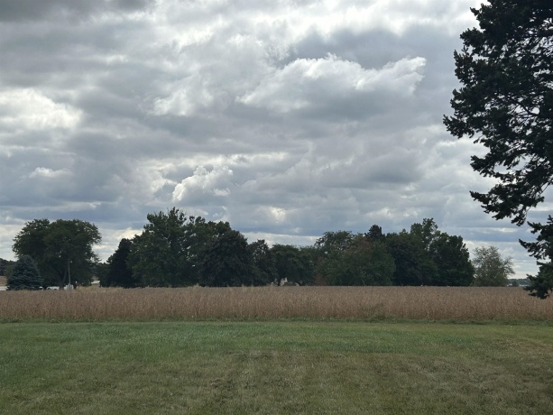 9800 IL Route 76, BELVIDERE, Illinois 61008, ,Land,For Sale,IL Route 76,202505893