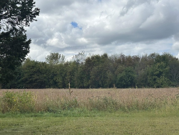 9800 IL Route 76, BELVIDERE, Illinois 61008, ,Land,For Sale,IL Route 76,202505893