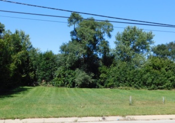 2140/2144 Reed, ROCKFORD, Illinois 61109, ,Land,For Sale,Reed,202505934
