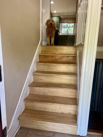 719 Greenfield, FREEPORT, Illinois 61032, 3 Bedrooms Bedrooms, ,3 BathroomsBathrooms,House,For Sale,Greenfield,202505970