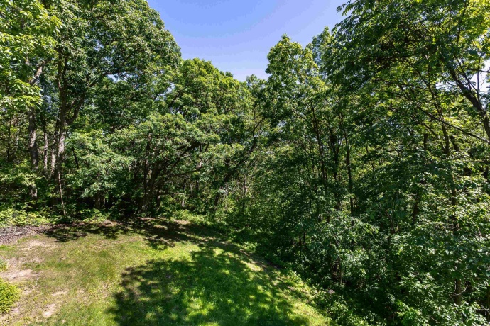 3 Briarwood, GALENA, Illinois 61036, 2 Bedrooms Bedrooms, ,1 BathroomBathrooms,House,For Sale,Briarwood,202505995