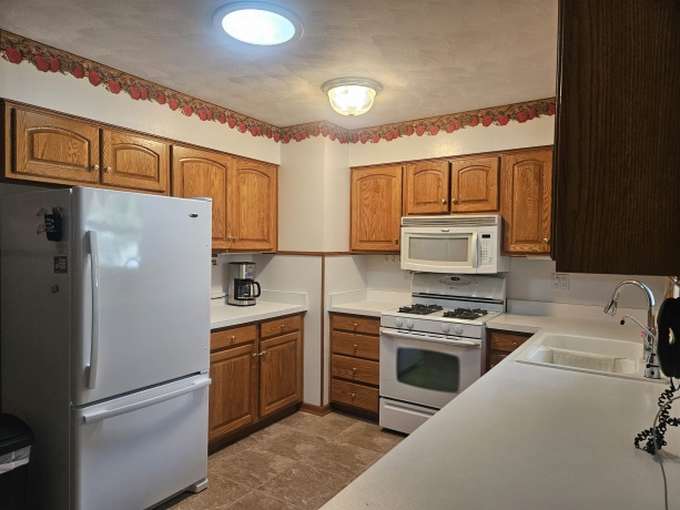 232 10th, PECATONICA, Illinois 61063, 3 Bedrooms Bedrooms, ,1 BathroomBathrooms,House,For Sale,10th,202506016