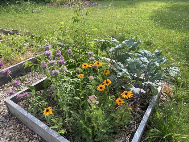 324 DAY, ROCKFORD, Illinois 61101, ,Land,For Sale,DAY,202506055