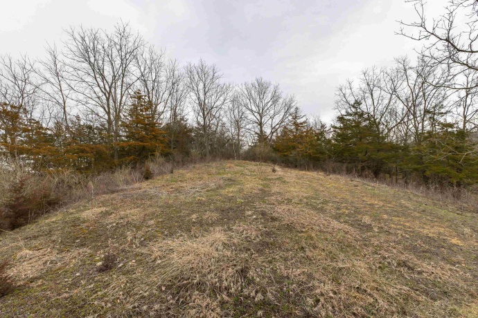 9384 Powder House Hill, GALENA, Illinois 61036, ,Land,For Sale,Powder House Hill,202401388