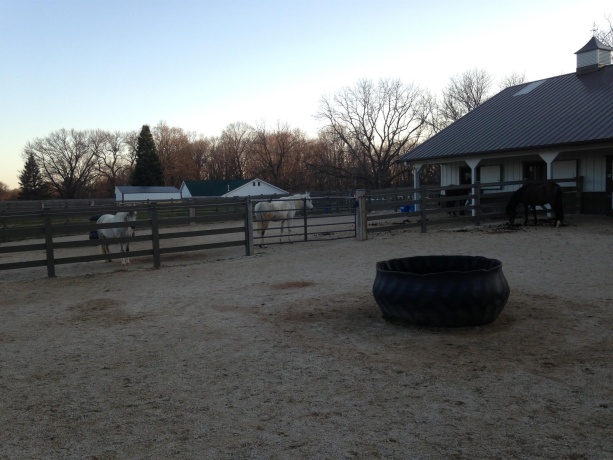 5382 GUILFORD, ROCKFORD, Illinois 61107, ,Land,For Sale,GUILFORD,202506075