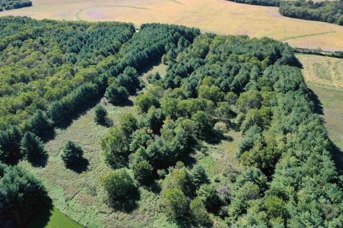 17278 Laube, DAVIS, Illinois 61019, 3 Bedrooms Bedrooms, ,3 BathroomsBathrooms,House,For Sale,Laube,202506078