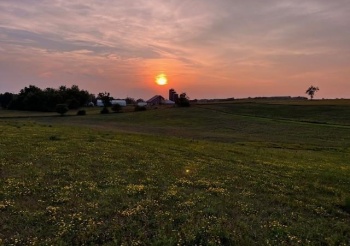 88XX TRASK BRIDGE, ROCKFORD, Illinois 61101, ,Land,For Sale,TRASK BRIDGE,202506101