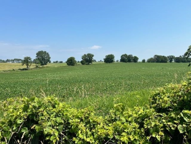 88XX TRASK BRIDGE, ROCKFORD, Illinois 61101, ,Land,For Sale,TRASK BRIDGE,202506101