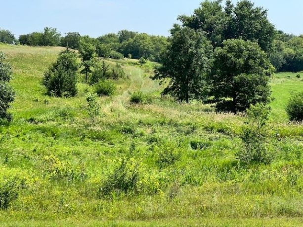 88XX TRASK BRIDGE, ROCKFORD, Illinois 61101, ,Land,For Sale,TRASK BRIDGE,202506101