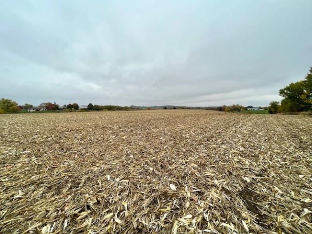 88XX TRASK BRIDGE, ROCKFORD, Illinois 61101, ,Land,For Sale,TRASK BRIDGE,202506101