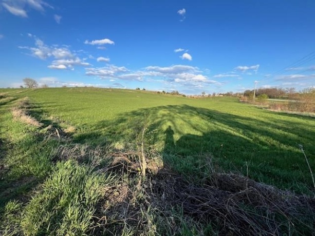 88XX TRASK BRIDGE, ROCKFORD, Illinois 61101, ,Land,For Sale,TRASK BRIDGE,202506101