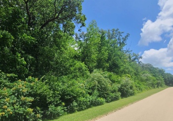 000 ROGENE (1.8 AC), OREGON, Illinois 61061, ,Land,For Sale,ROGENE (1.8 AC),202100723