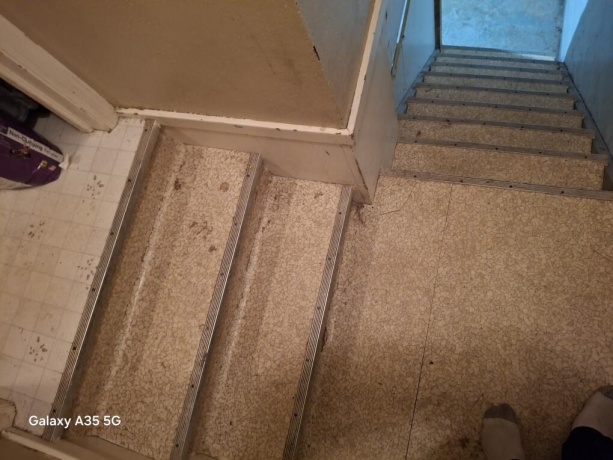 304 Maple, FORRESTON, Illinois 61030, 2 Bedrooms Bedrooms, ,1 BathroomBathrooms,House,For Sale,Maple,202506113