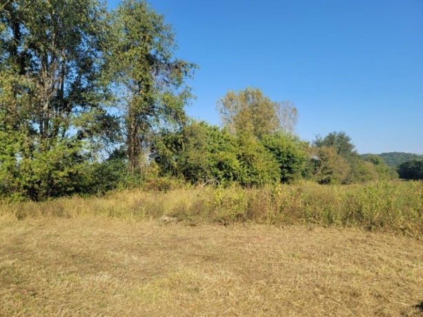 10113 Crazy Hollow, HANOVER, Illinois 61041, ,Land,For Sale,Crazy Hollow,202506163